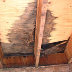 Harper Brawner Brochure 2019 Page 24 Image 0004